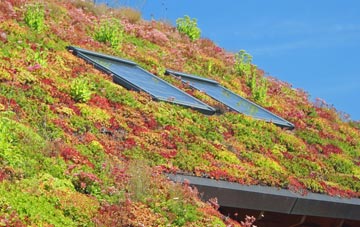 Sutton In Ashfield living roof systems